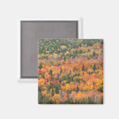 Aimant Feuillage d'automne | Péninsule de Keweenaw, Michi (Recto/Verso)