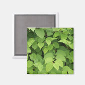 Aimant Feuille (Recto/Verso)