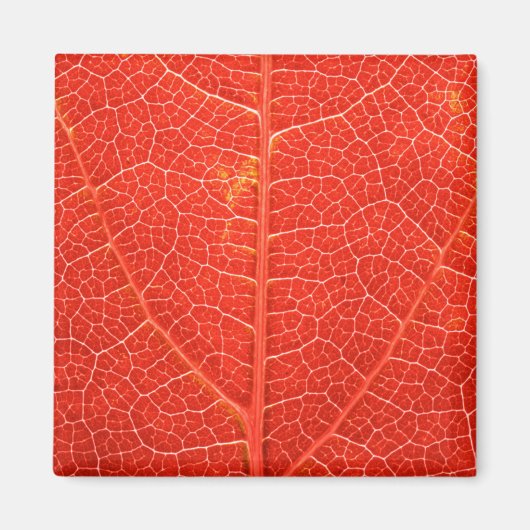 Aimant Feuille automnale (Devant)
