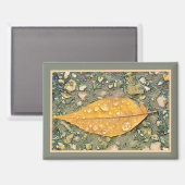 Aimant FEUILLE AVEC GOUTTES DE PLUIE (Recto/Verso)