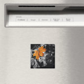 Aimant Feuille d'automne (In Situ (Lave-vaisselle))