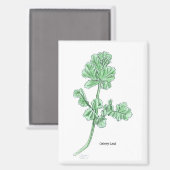 Aimant Feuille de céleri (Recto/Verso)
