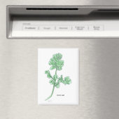 Aimant Feuille de céleri (In Situ (Lave-vaisselle))