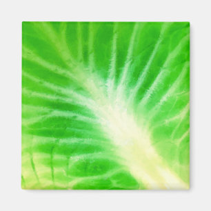 Aimant Feuille de choux