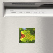 Aimant Feuille de chute verte (In Situ (Lave-vaisselle))