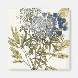 Aimant Feuille de dentelle - fleurs et verdure