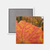 Aimant Feuille de érable abstrait orange et rouge Automne (Recto/Verso)