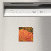 Aimant Feuille de érable abstrait orange et rouge Automne (In Situ (Lave-vaisselle))