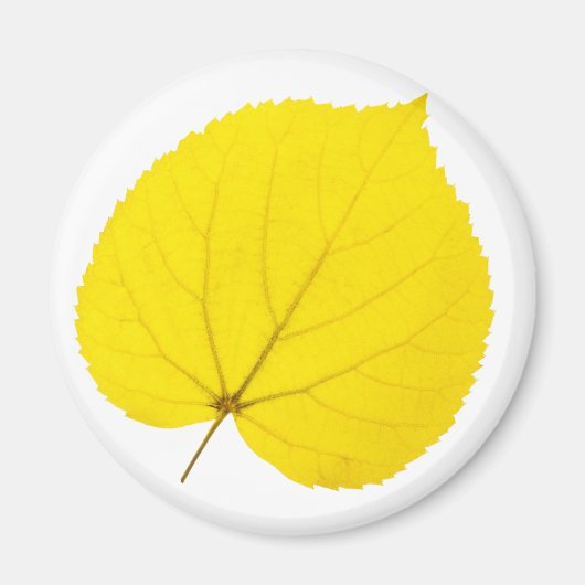 Aimant Feuille de lin d'automne (Devant)