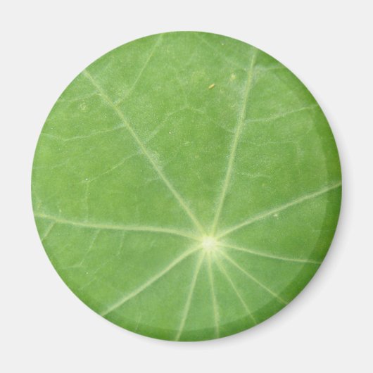 Aimant feuille de Nasturtium (Devant)