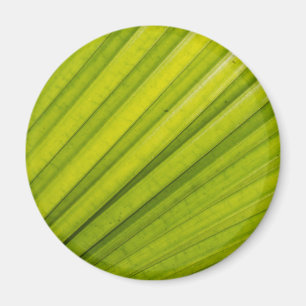 Aimant Feuille de palme