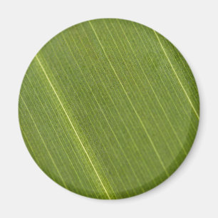 Aimant Feuille de palmier