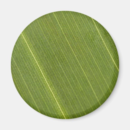 Aimant Feuille de palmier (Devant)
