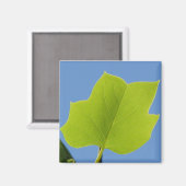 Aimant Feuille de peuplier (Recto/Verso)