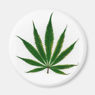Aimant Feuille de pot