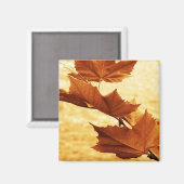 Aimant feuille d'érable (Recto/Verso)