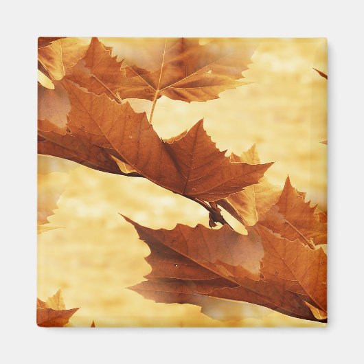 Aimant feuille d'érable (Devant)