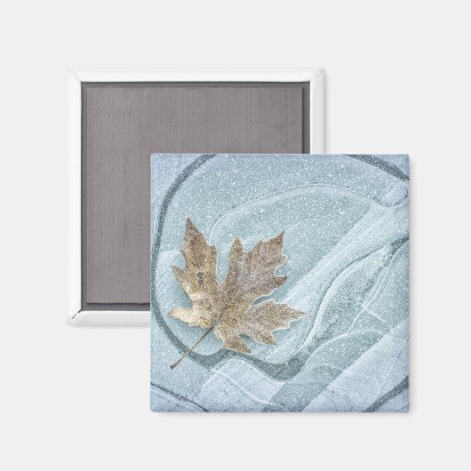Aimant Feuille d'érable congelée sur glace (Recto/Verso)