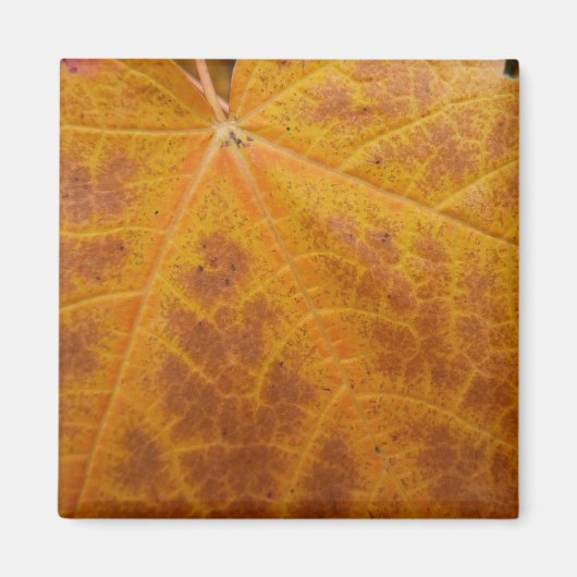 Aimant Feuille d'érable jaune Automne Abstraite Nature (Devant)