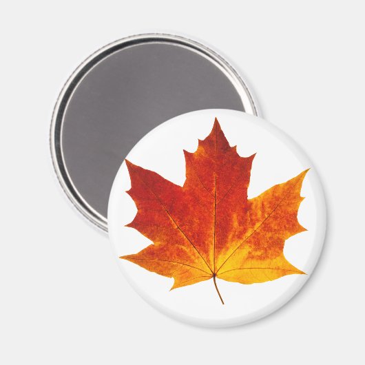 Aimant Feuille d'érable rouge (Recto/Verso)