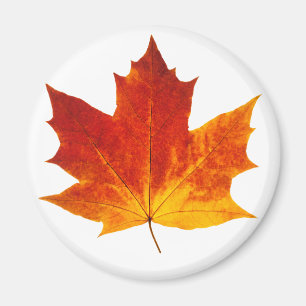 Aimant Feuille d'érable rouge