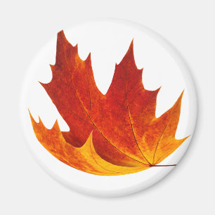 Aimant Feuille d'érable rouge