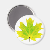 Aimant Feuille d'érable vert jaune (Recto/Verso)