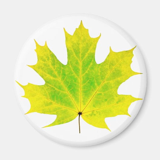 Aimant Feuille d'érable vert jaune (Devant)
