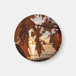 aimant feuille d'érables magneet