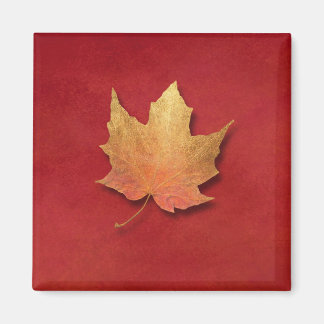 Aimant Feuille d'or
