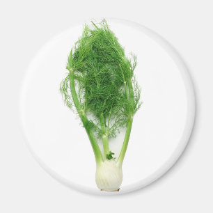 Aimant Feuille et ampoule de fenouil