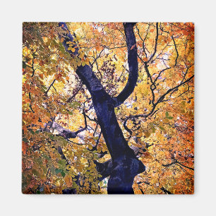 Aimant Feuille jaune et orange