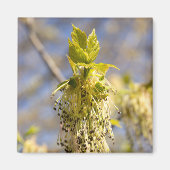 Aimant Feuille mignons en photo de printemps (Devant)