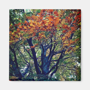 Aimant Feuille orange
