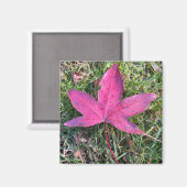 Aimant Feuille rouge (Recto/Verso)