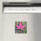 Aimant Feuille rouge (In Situ (Lave-vaisselle))