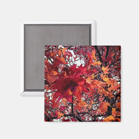 Aimant Feuille rouge et orange (Recto/Verso)
