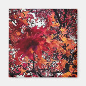 Aimant Feuille rouge et orange (Devant)