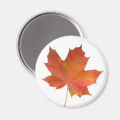 Aimant Feuille tombée 01 (Recto/Verso)