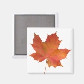 Aimant Feuille tombée 01 (Recto/Verso)