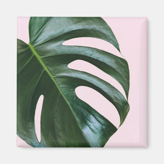 Aimant Feuille tropicale Monstera (Devant)