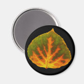 Aimant Feuille vert orange et jaune d'Aspen #1 (Recto/Verso)