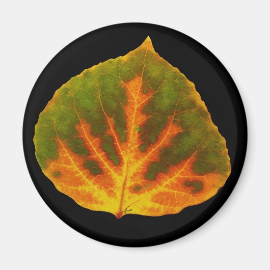 Aimant Feuille vert orange et jaune d'Aspen #1 (Devant)