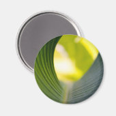 Aimant Feuille verte (Recto/Verso)