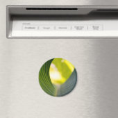 Aimant Feuille verte (In Situ (Lave-vaisselle))