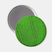 Aimant feuilles (Recto/Verso)