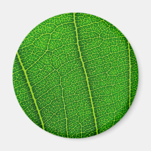 Aimant feuilles