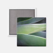 Aimant Feuilles agaves (Recto/Verso)