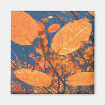Feuilles automnales