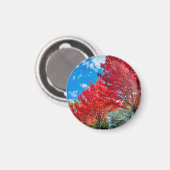 Aimant Feuilles D'Arbre Rouge Lumineux En Automne (Recto/Verso)